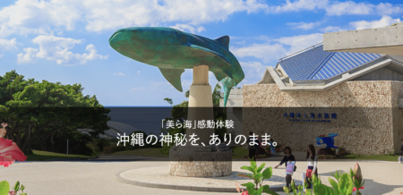 美ら海水族館　9月7日（月）　より開館です。