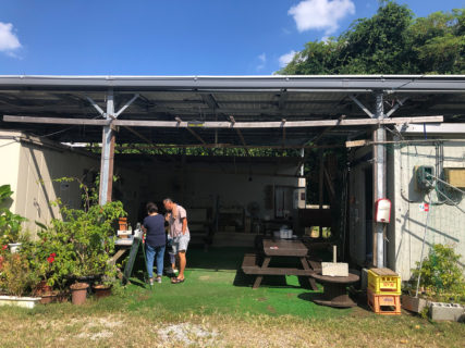 冬メニュー、かどや製麺所