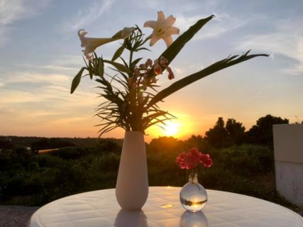 北海道の青年！