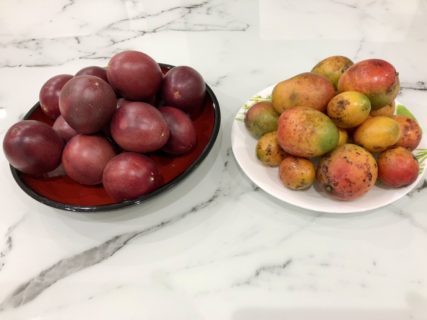 夏！フルールの季節！マンゴーの季節！！！